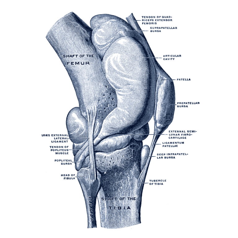 Knee Arthroscopy Central Coast Dr Simon Hutabarat