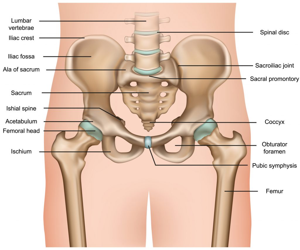 What to Expect from Hip Replacement Surgery?