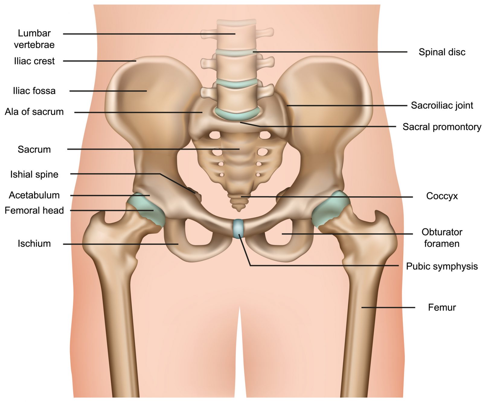 hip-replacement-surgery-central-coast-dr-simon-hutabarat