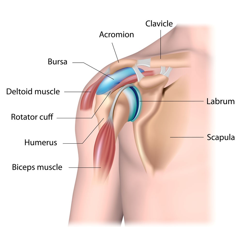 Shoulder Reconstruction Surgery Central Coast Dr Simon Hutabarat