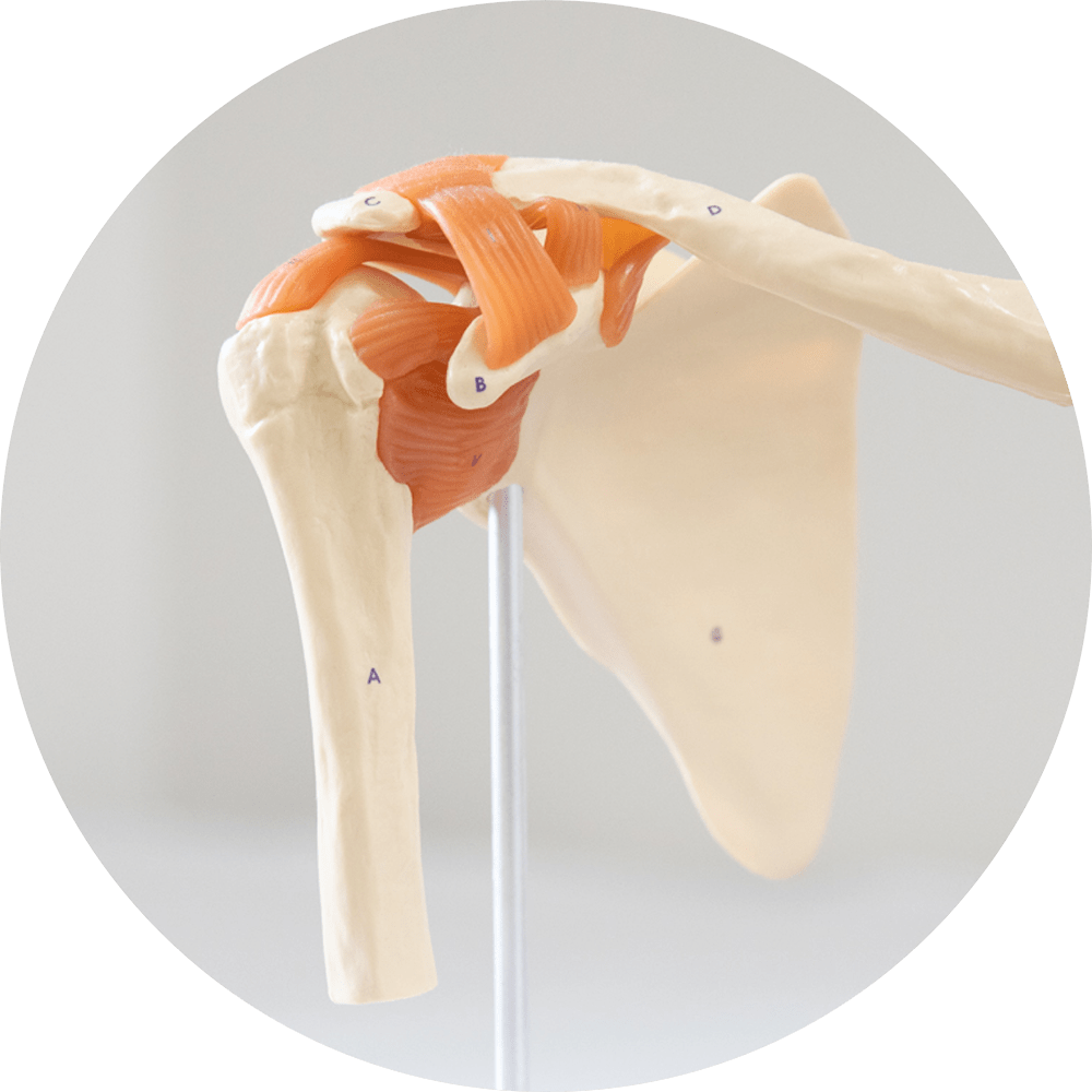 Shoulder Surgery Support Group (Rotator Cuff Tears & arthritis)